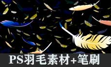 飘落羽毛素材 白色彩色羽毛PSD免扣素材 PS羽毛笔刷画笔预设